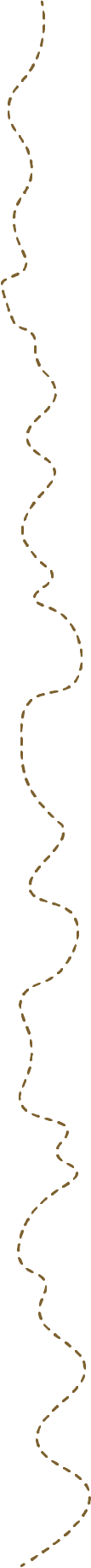 Dotted path